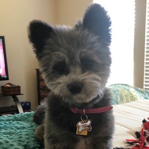 🌺 RELAX. I’LL WORK WITH YOU🌺